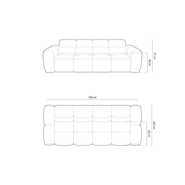 Szürke kanapé 256 cm Lisa – Micadoni Home-image-4
