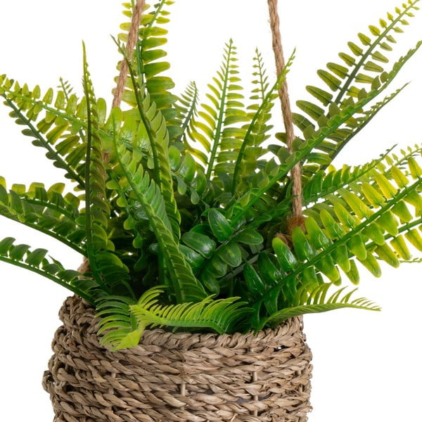 Haraszt műnövény (magasság 25 cm) – Casa Selección-image-1