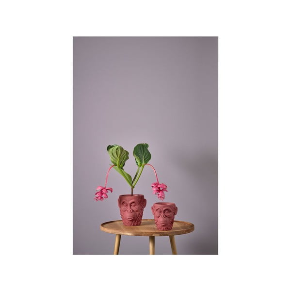 Calbe piros virágcserép ø 19 cm - Villa Collection-image-3