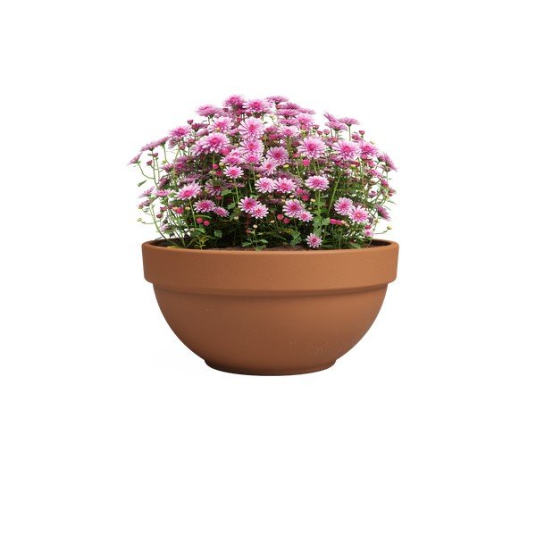Terrakotta virágcserép ø 20 cm Amalia Campana – Artevasi-image-2