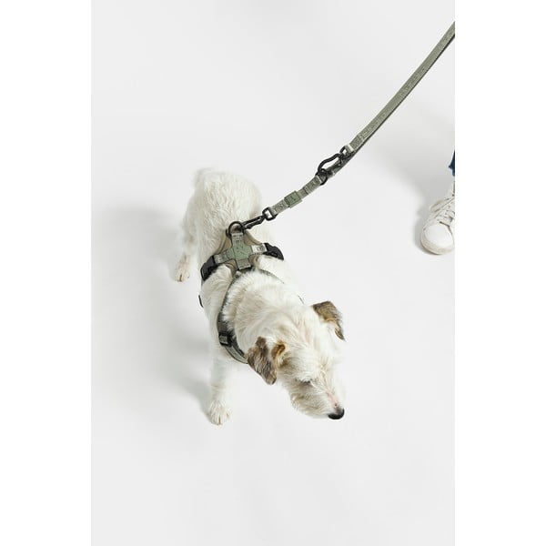 Bézs kapcsos póráz hosszúság 200 cm Modena Greige 20 mm – MiaCara-image-4