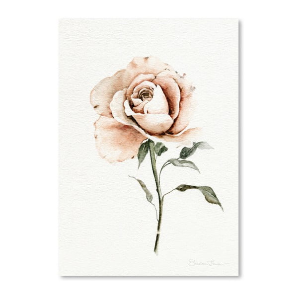 Single Peach Rose by Shealeen Louise 30 x 42 cm-es plakát