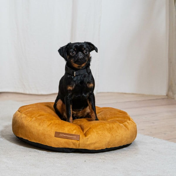 Sárga matrac kutyáknak ø 50 cm Coco S – Rexproduct-image-1