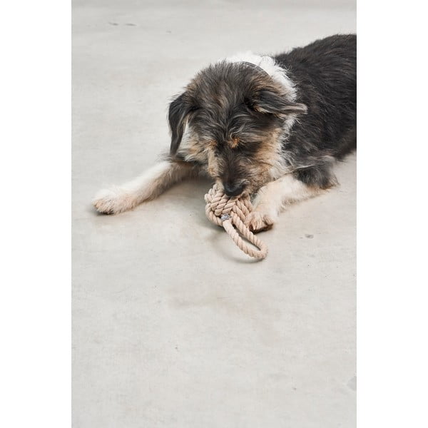 Kutyajáték Nodo Greige – MiaCara-image-1