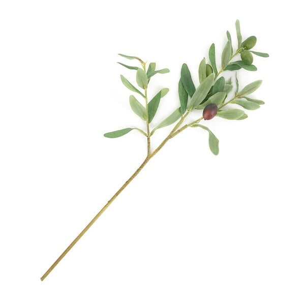 Olive Branch művirág - Moycor