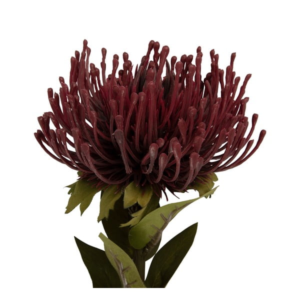 Művirág (magasság 60 cm) Protea – PT LIVING-image-1