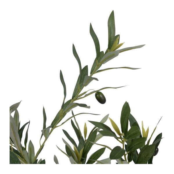 Olajfa műnövény (magasság 110 cm) – Ixia-image-1