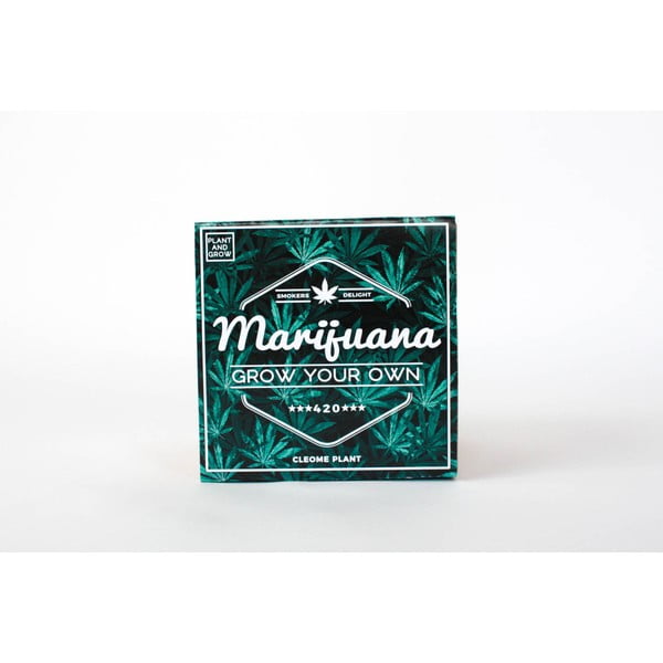 Növénytermesztő készlet marihuána magokkal - Gift Republic