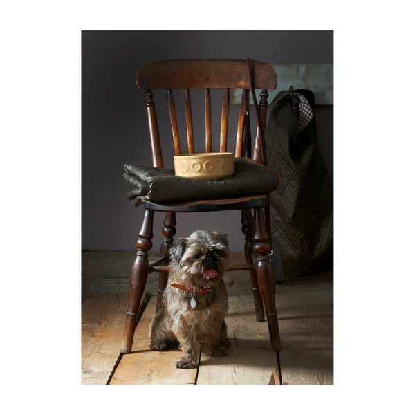 Pet Cane Dog agyagkerámia kutyatál, ø 25 cm - Mason Cash-image-2