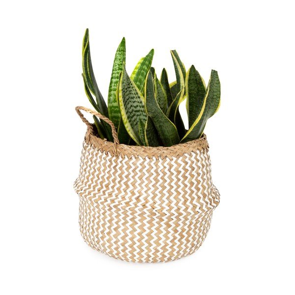 Zic Zac világos színű tengerifű tárolókosár, ⌀ 27 cm - Compactor-image-1