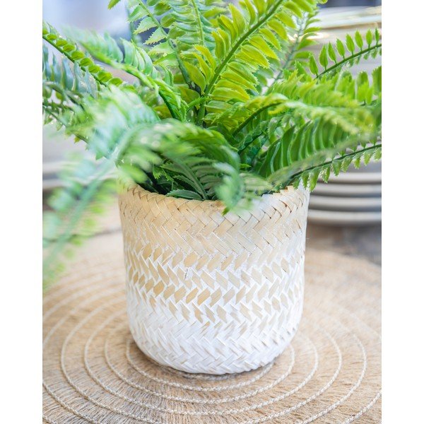 Ombré tengerifű kaspó - Kitchen Craft-image-3