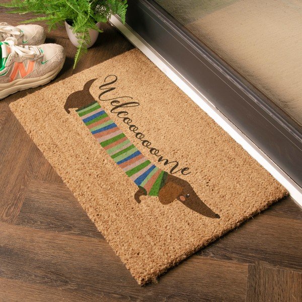 Kókuszrost lábtörlő 40x60 cm Welcome Sausage Dog – Artsy Doormats-image-1