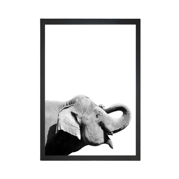 Poszter 24x29 cm Damarion Elephant – Tablo Center