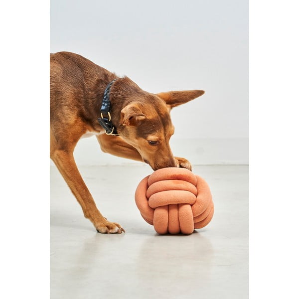 Kutyajáték Tubo Dusty Orange – MiaCara-image-3