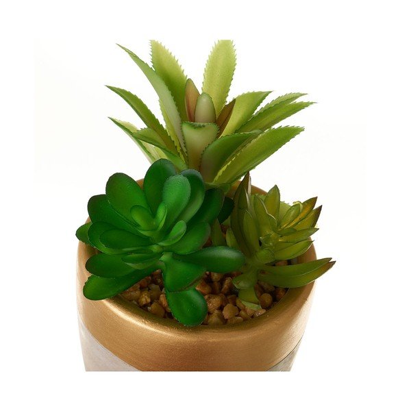 Műnövény szett 4 db-os (magasság 17 cm) Cactus – Casa Selección-image-1