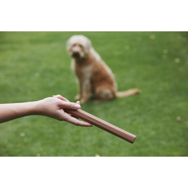 Kutyajáték Ramo Sandalwood – MiaCara-image-2