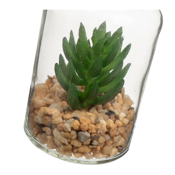 Műnövény szett 4 db-os (magasság 12 cm) Cactus – Casa Selección-image-2