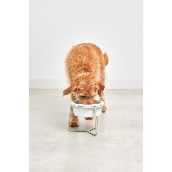 Porcelán tálka állvánnyal kutyáknak ø 20 cm Pranzo Greige M – MiaCara-image-2