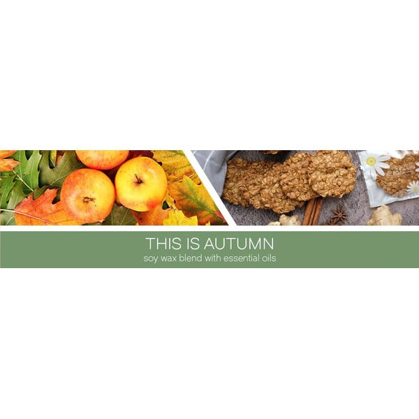 Illatos szójaviasz gyertya égési idő 35 ó This Is Autumn – Goose Creek-image-1