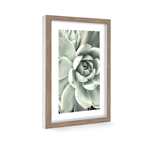 Poszter 60x90 cm Aloe-image-1