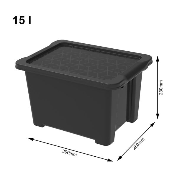 Fényes fekete műanyag tárolódoboz fedéllel Evo Easy - Rotho-image-1