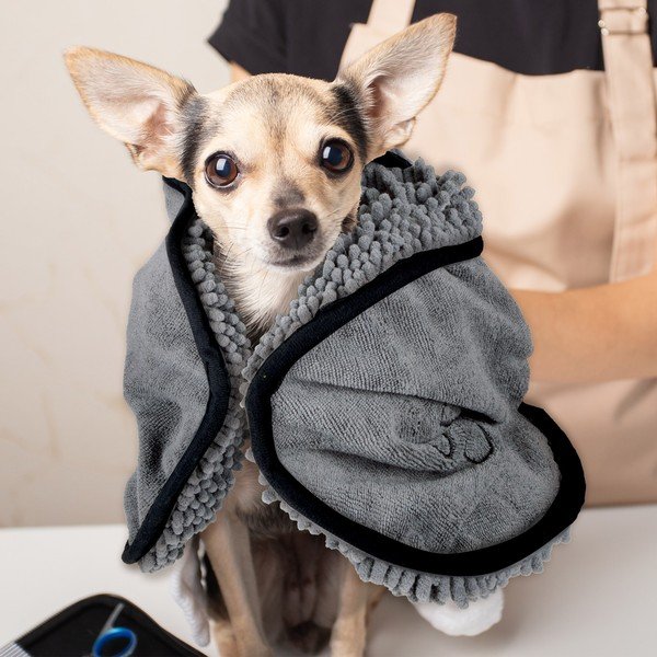 Törölköző házi kedvenceknek – Love Story-image-1