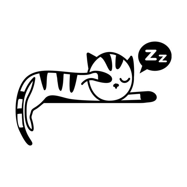 Sleeping Kitten falmatrica - Ambiance-image-1