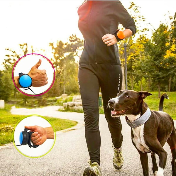 Fekete póráz M 3 – Lishinu-image-2