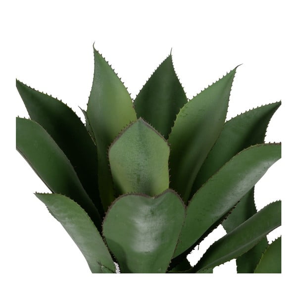 Műnövény (magasság 120 cm) Agave – Ixia-image-2