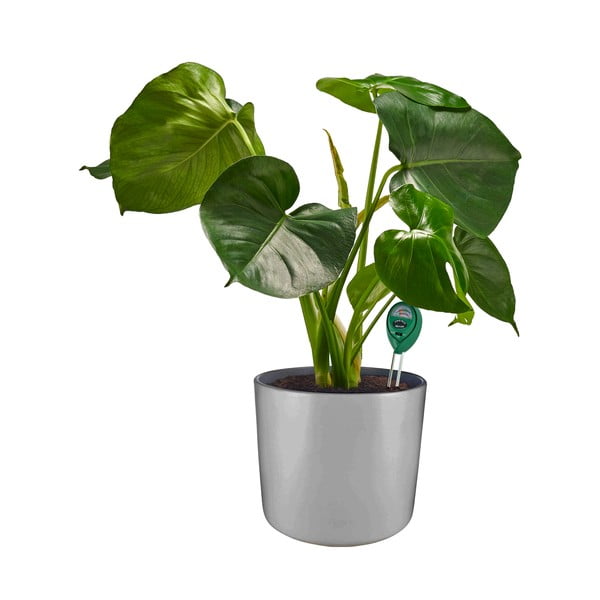 Talaj pH mérő – Garden Pleasure-image-1