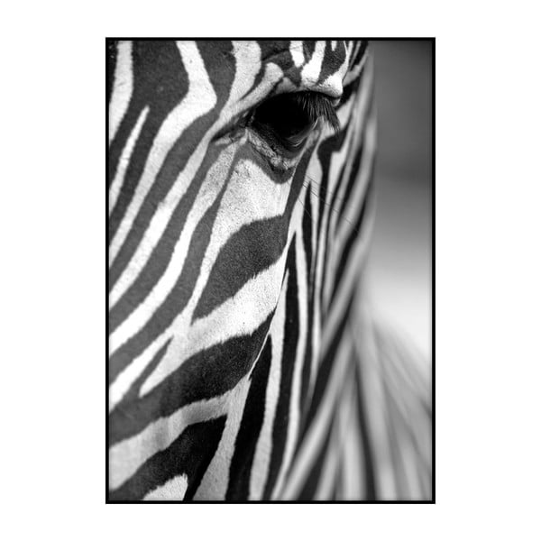 Zebra Texture plakát, 40 x 30 cm - Imagioo