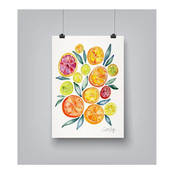 Citrus Slices by Cat Coquillette 30 x 42 cm-es plakát