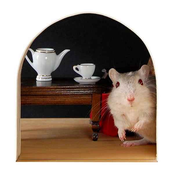 Mouse Hole falmatrica - Ambiance-image-2