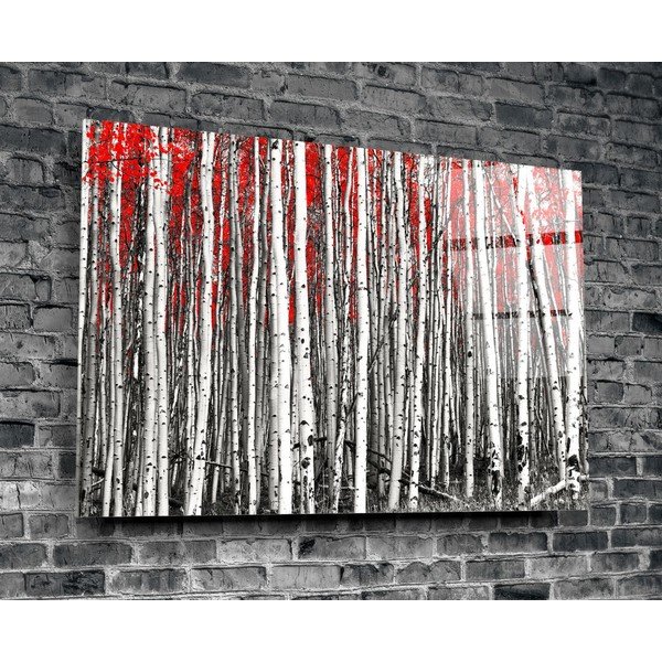 Birches üvegezett kép - Insigne-image-3