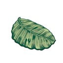 Zöld fürdőszobai kilépő 60x100 cm Sheet – Foutastic