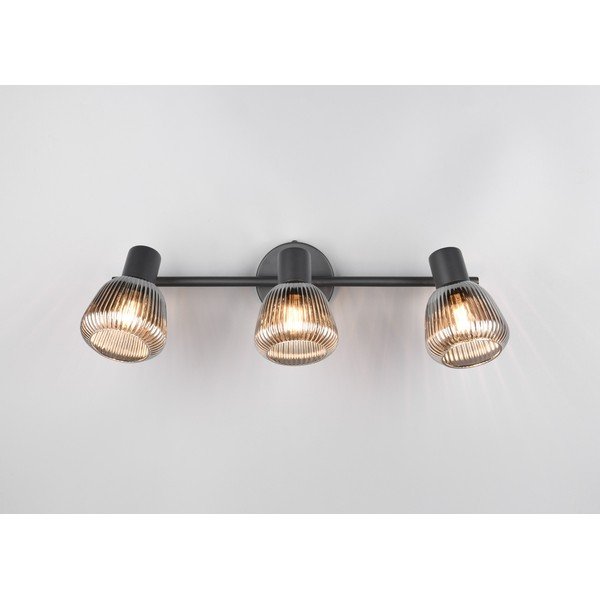 Fekete spotlámpa ø 10 cm Tarifa – Trio-image-1