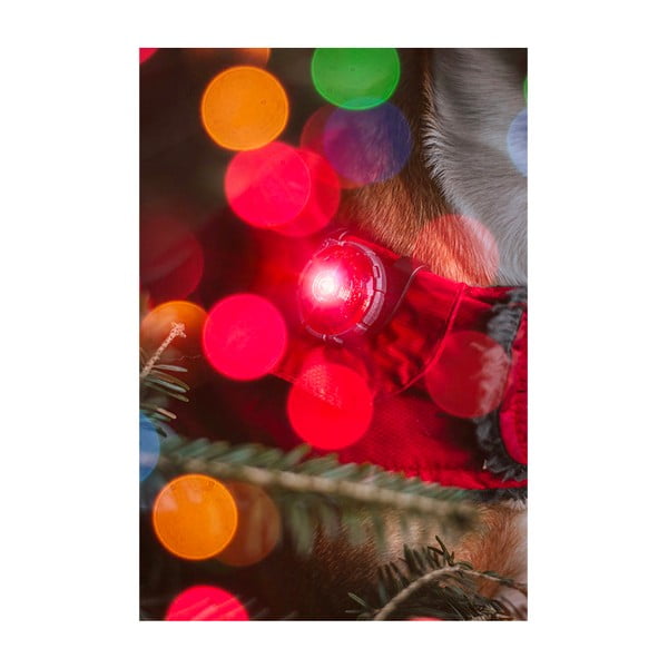 LED fény nyakörvre Red - Orbiloc-image-4