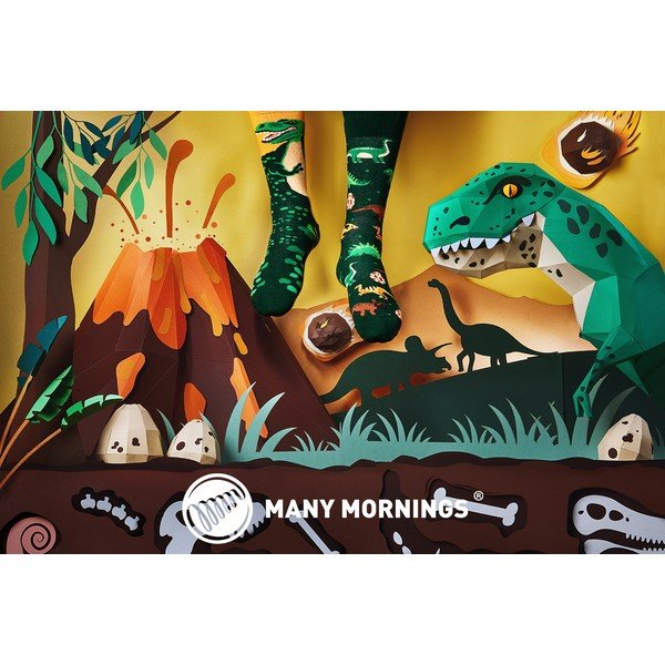 The Dinosaurus zokni, méret 35–38 - Many Mornings-image-1