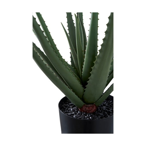 Műnövény (magasság 51 cm) Aloe Vera – House Nordic-image-4