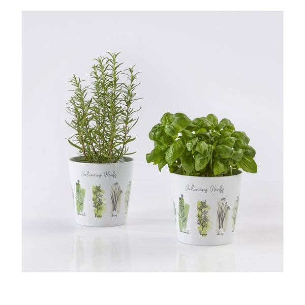 Kerámia kaspó szett gyógynövényekhez 2 db-os ø 14 cm Dalllas Culinary - Big pots-image-1