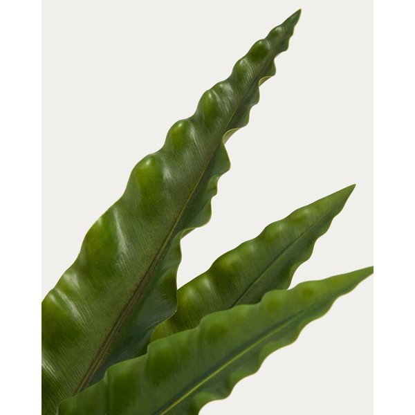 Suculent műnövény (magasság 70 cm) Neottopteris – Kave Home-image-2