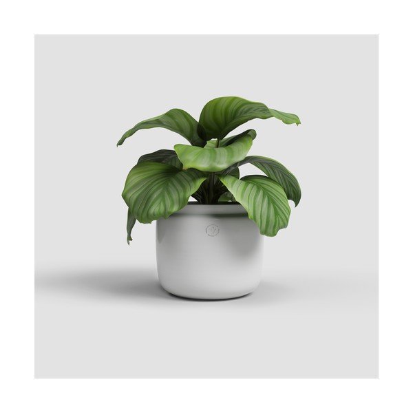 Kerámia kézzel készített virágcserép ø 26 cm Astrea – Artevasi-image-1