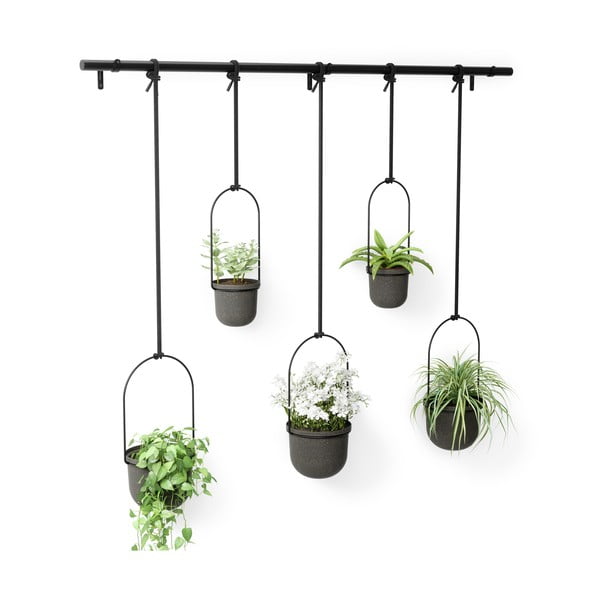 Műanyag kaspó szett 5 db-os fűszernövényekhez -függő ø 7,5 cm Triflora – Umbra-image-4