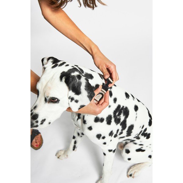 Bézs nyakörv S/M hosszúság 32 cm Modena Greige S/SM – MiaCara-image-2