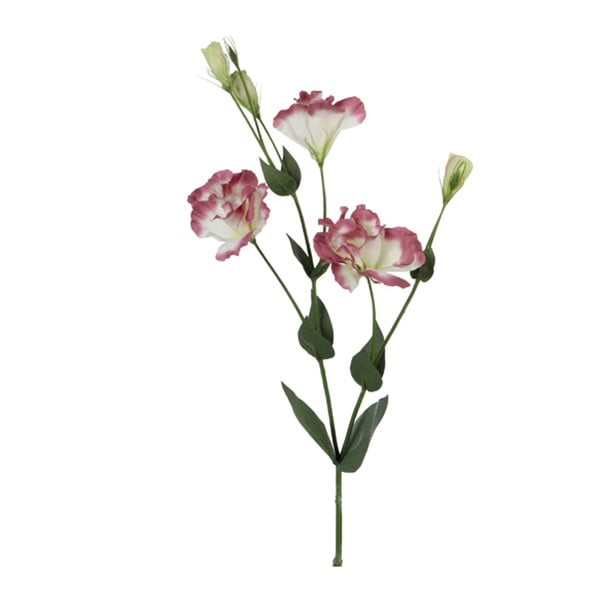 Művirág lila préritárnics, magasság 70 cm - Ego Dekor
