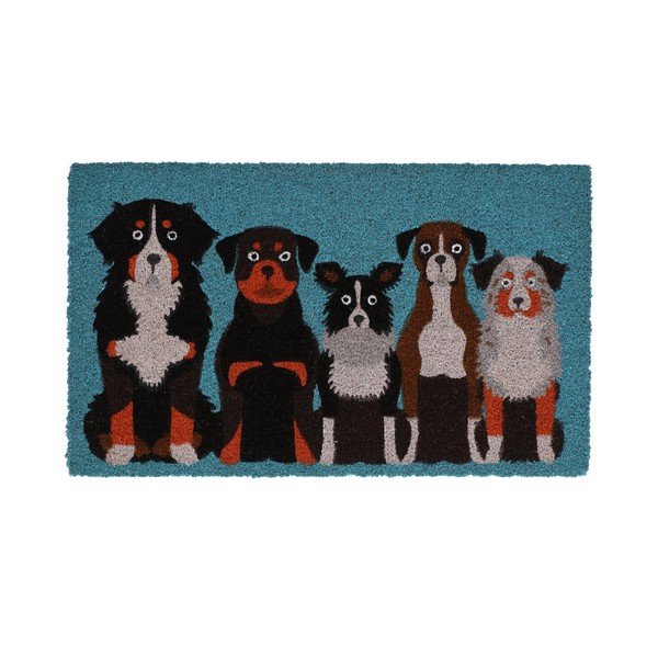 Kókuszrost lábtörlő 45x75 cm – Esschert Design
