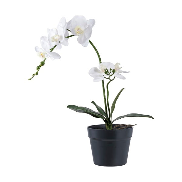 Művirág (magasság 47 cm) Orchid – House Nordic