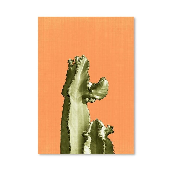 Cactus On Orange poszter - Americanflat