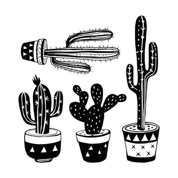 Mexican Cactus 4 darabos matrica szett - Ambiance-image-2
