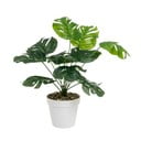 Monstera műnövény (magasság 38 cm) – Casa Selección